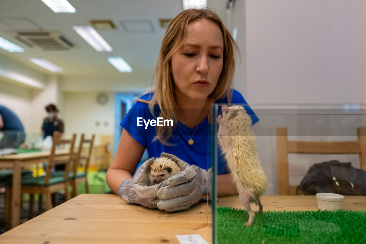 Woman playing with porcupine on table