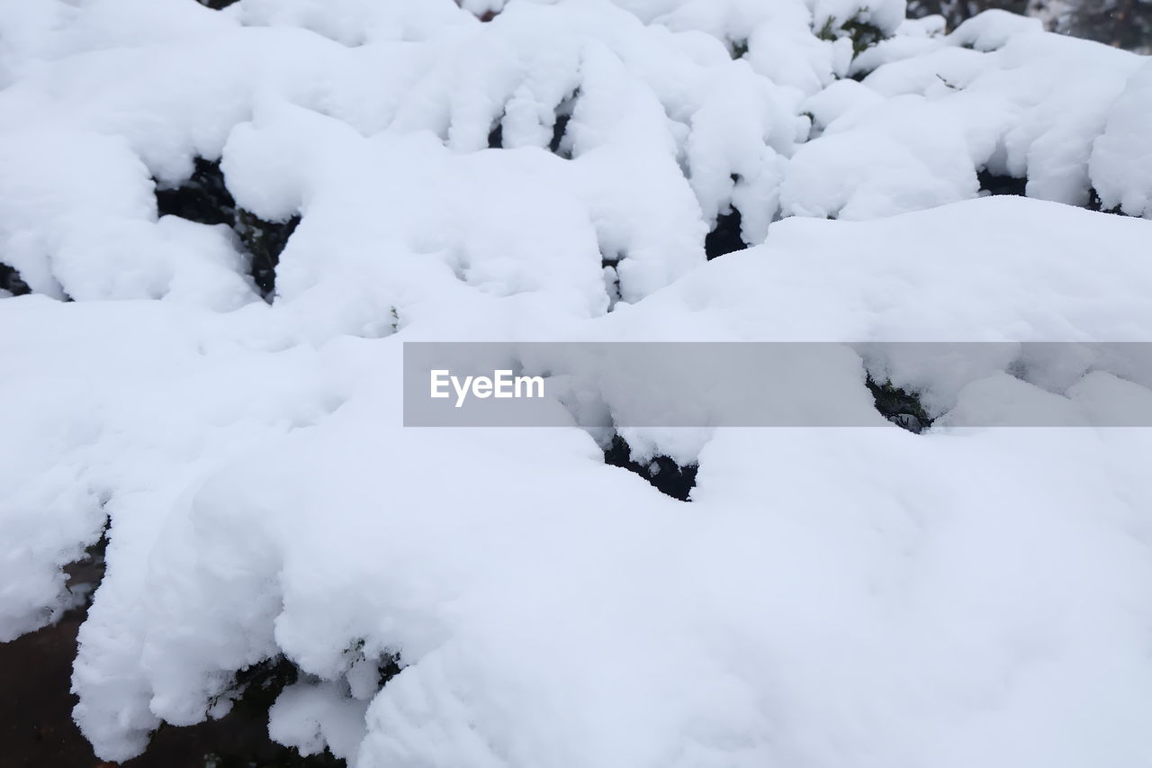 FULL FRAME SHOT OF SNOW COVERED LAND