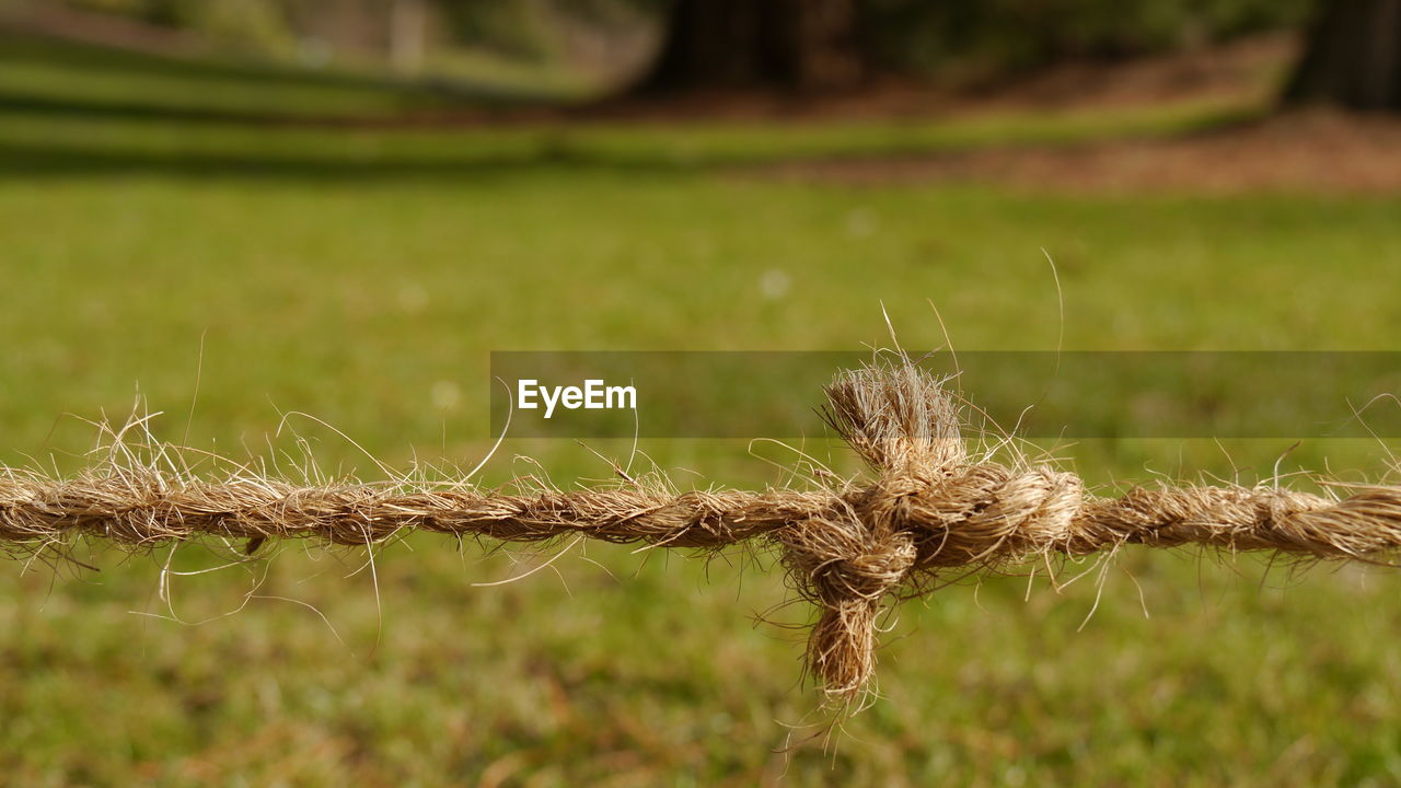 Close-up of knot in rope against grass area 