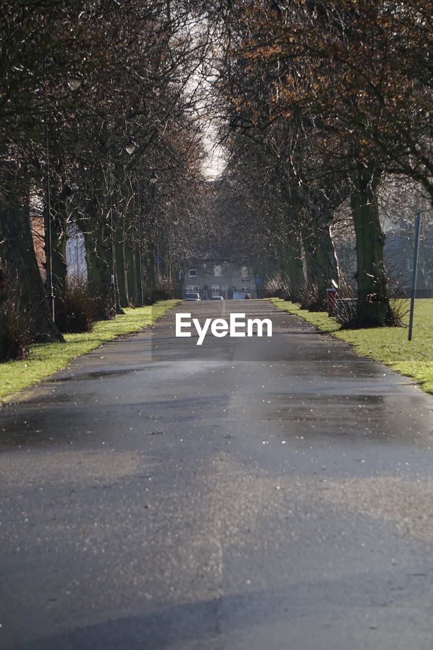 EMPTY ROAD AMIDST TREES AGAINST SKY