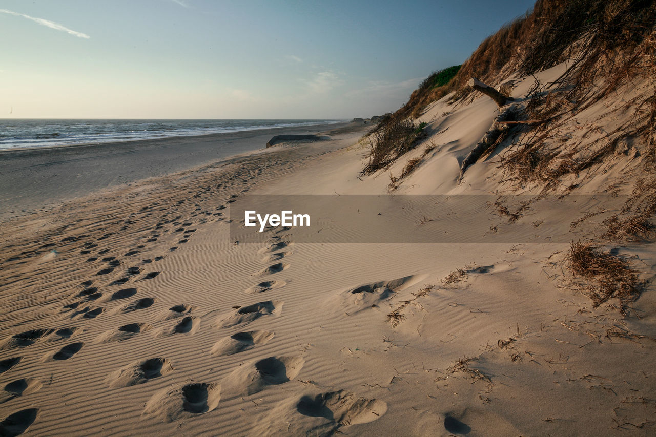 Scenic view of beach against sky