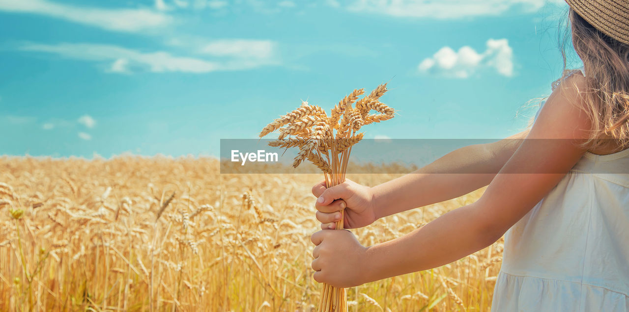 cereal plant, field, crop, agriculture, rural scene, plant, land, food, nature, landscape, sky, women, one person, adult, wheat, summer, food grain, farm, environment, beauty in nature, young adult, cloud, triticale, barley, female, sunlight, growth, flower, outdoors, cereal, long hair, fashion, child, standing, corn, day, waist up, tranquility, idyllic, holding, clothing, childhood, tranquil scene, hairstyle, emotion, blond hair, gold, smiling, side view, dress, positive emotion, food and drink, grass, blue, portrait, harvesting