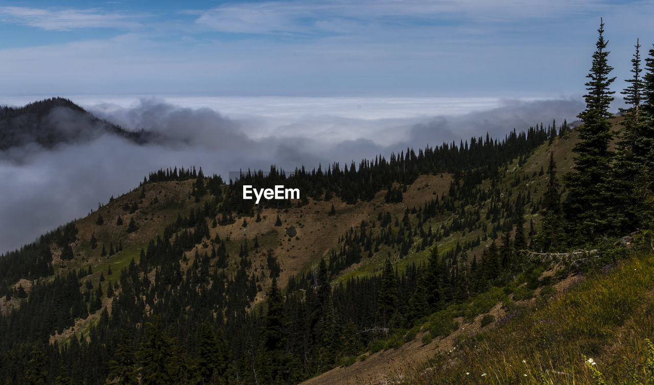 Panoramic view of mountains against sky