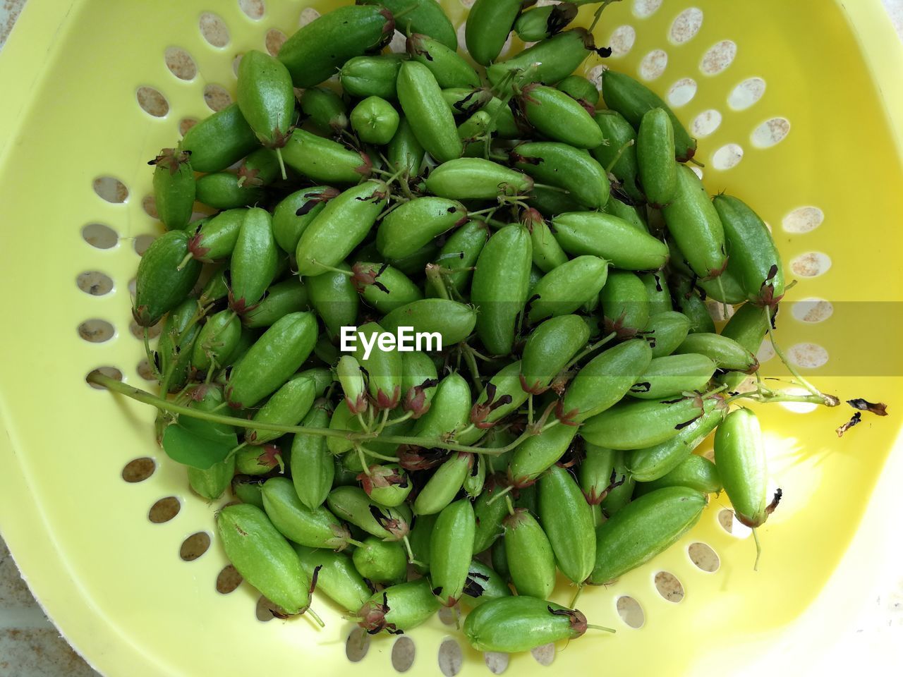 HIGH ANGLE VIEW OF VEGETABLE SALAD