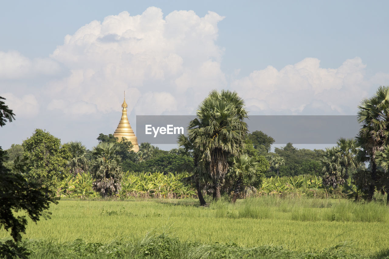 Golden stupa surrounded by tropical trees in the burmese countryside