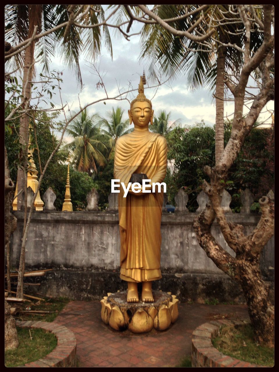 Golden buddha statue and trees outdoors