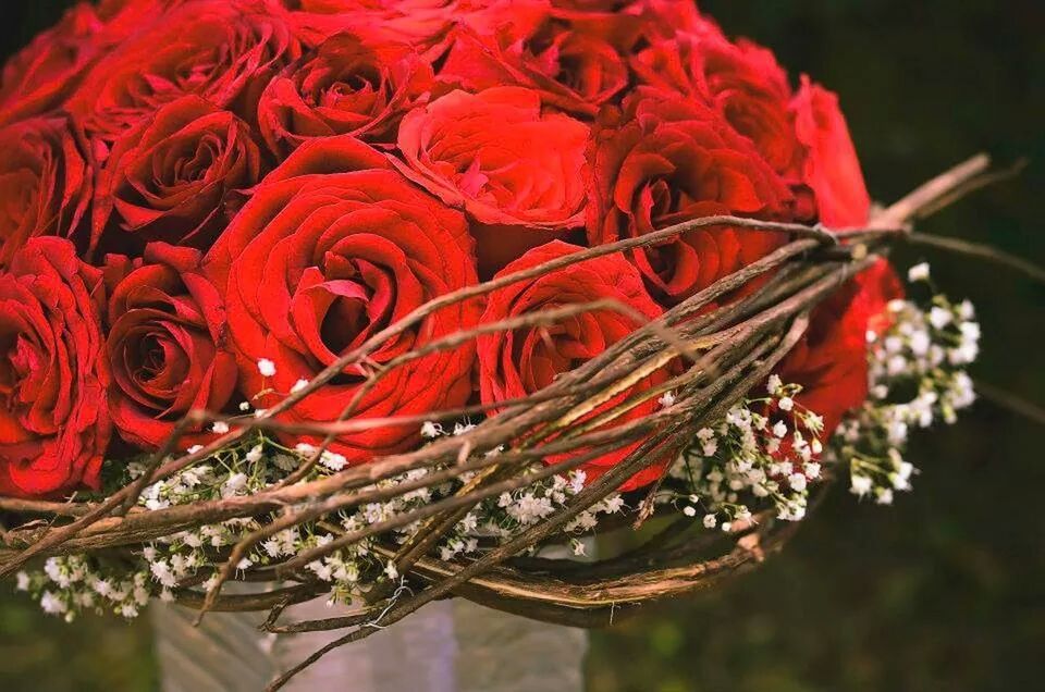 CLOSE-UP OF RED FLOWERS