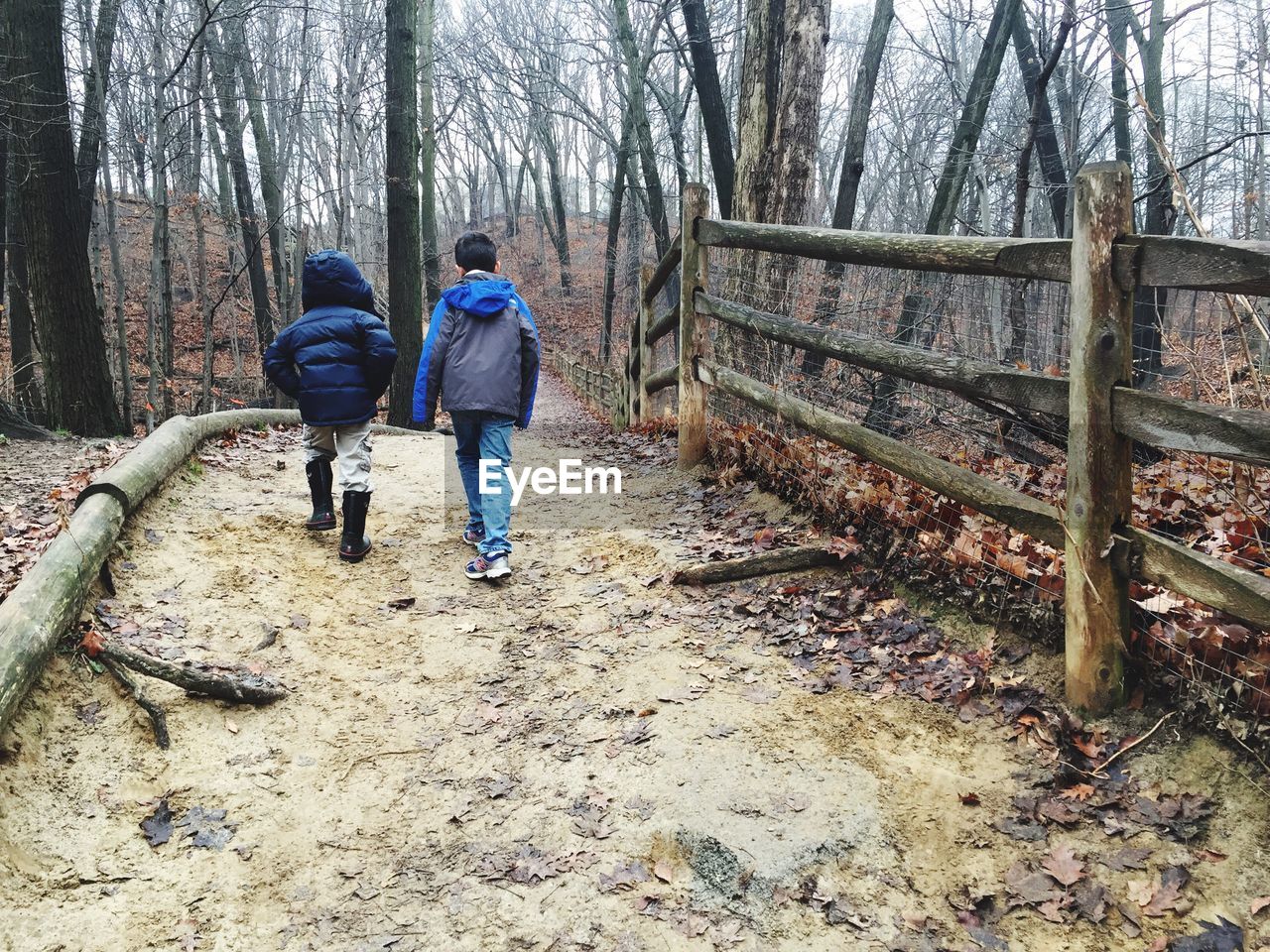 Full length of people walking in forest during winter