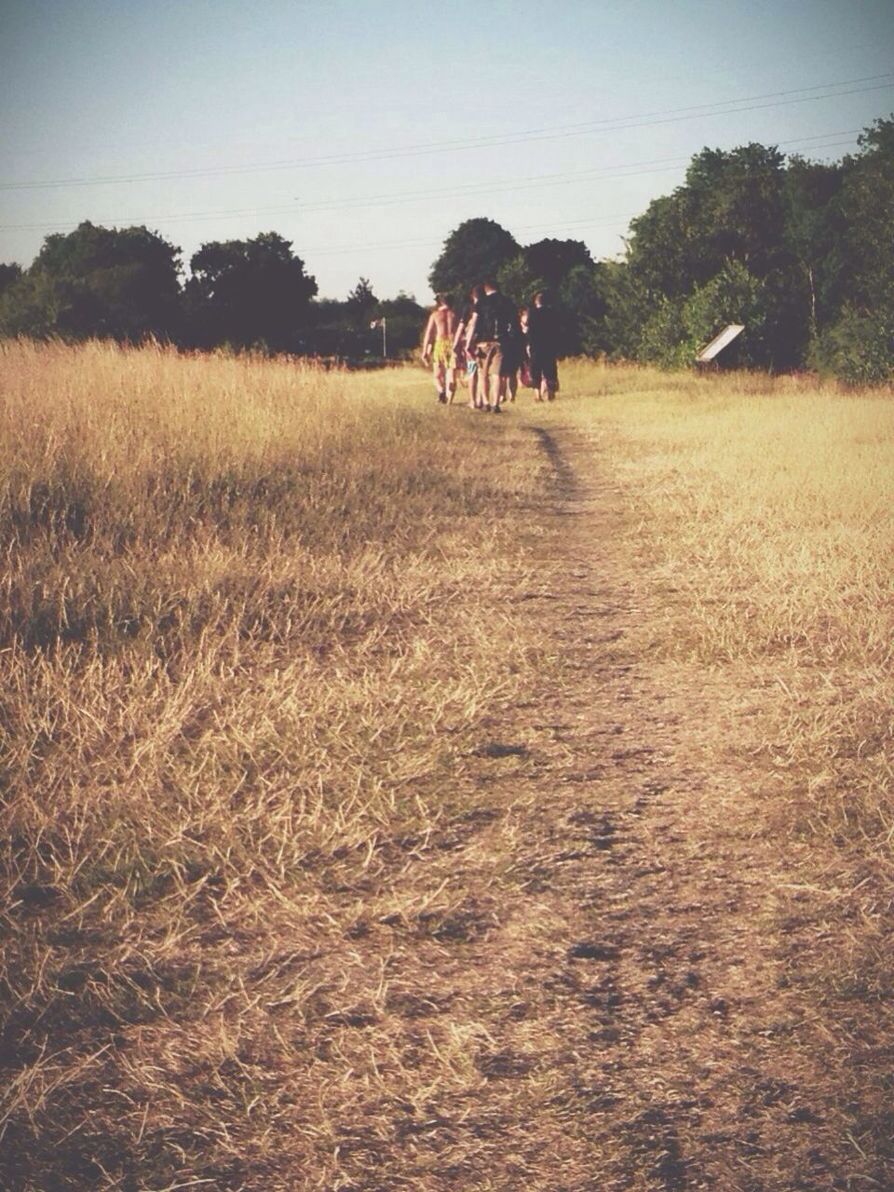 Rear view of people walking on grassy field