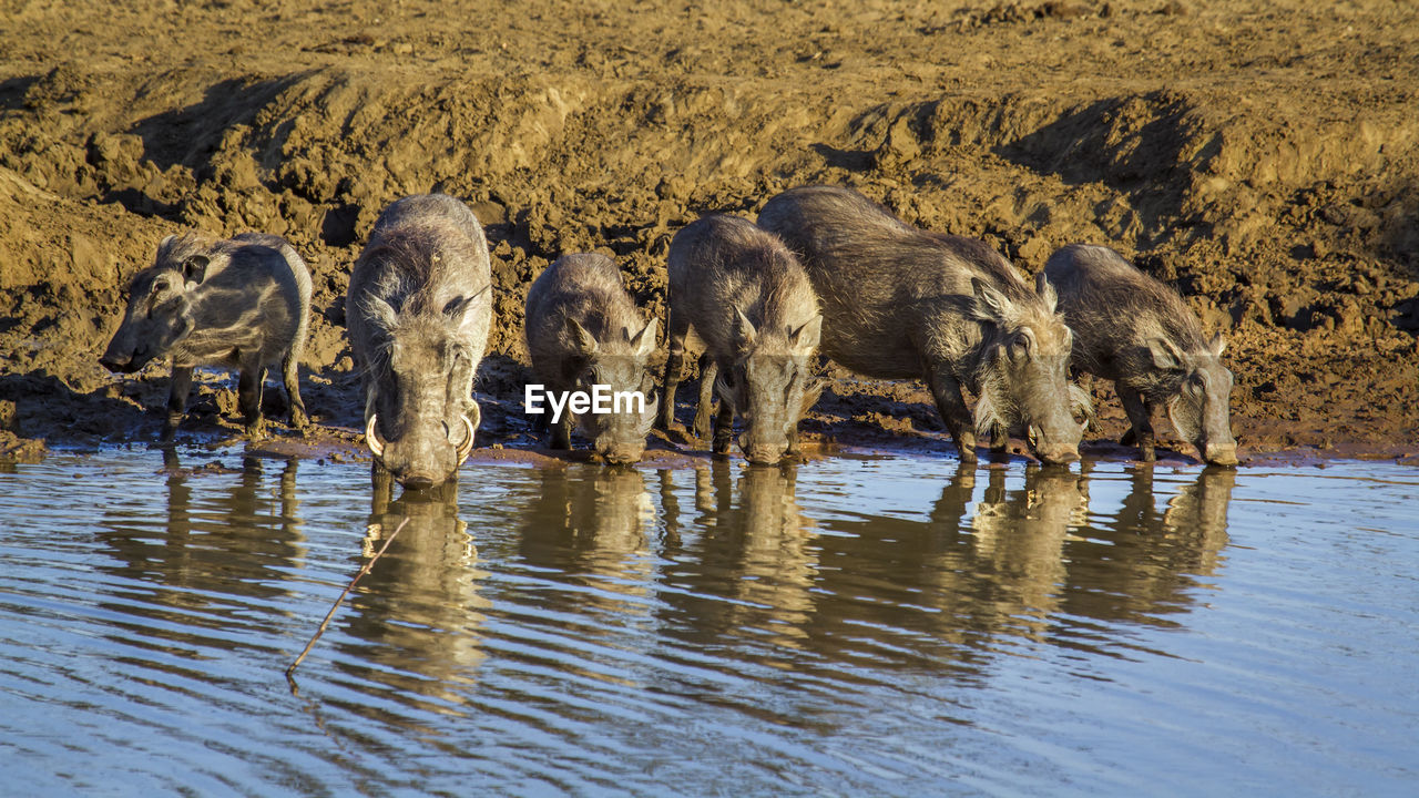 View of drinking water in lake