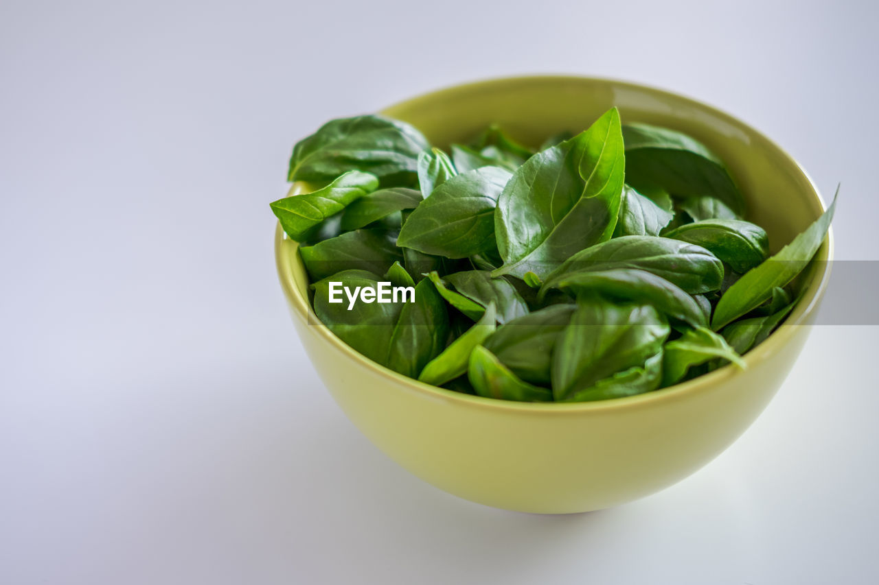 Close-up of basil in bowl