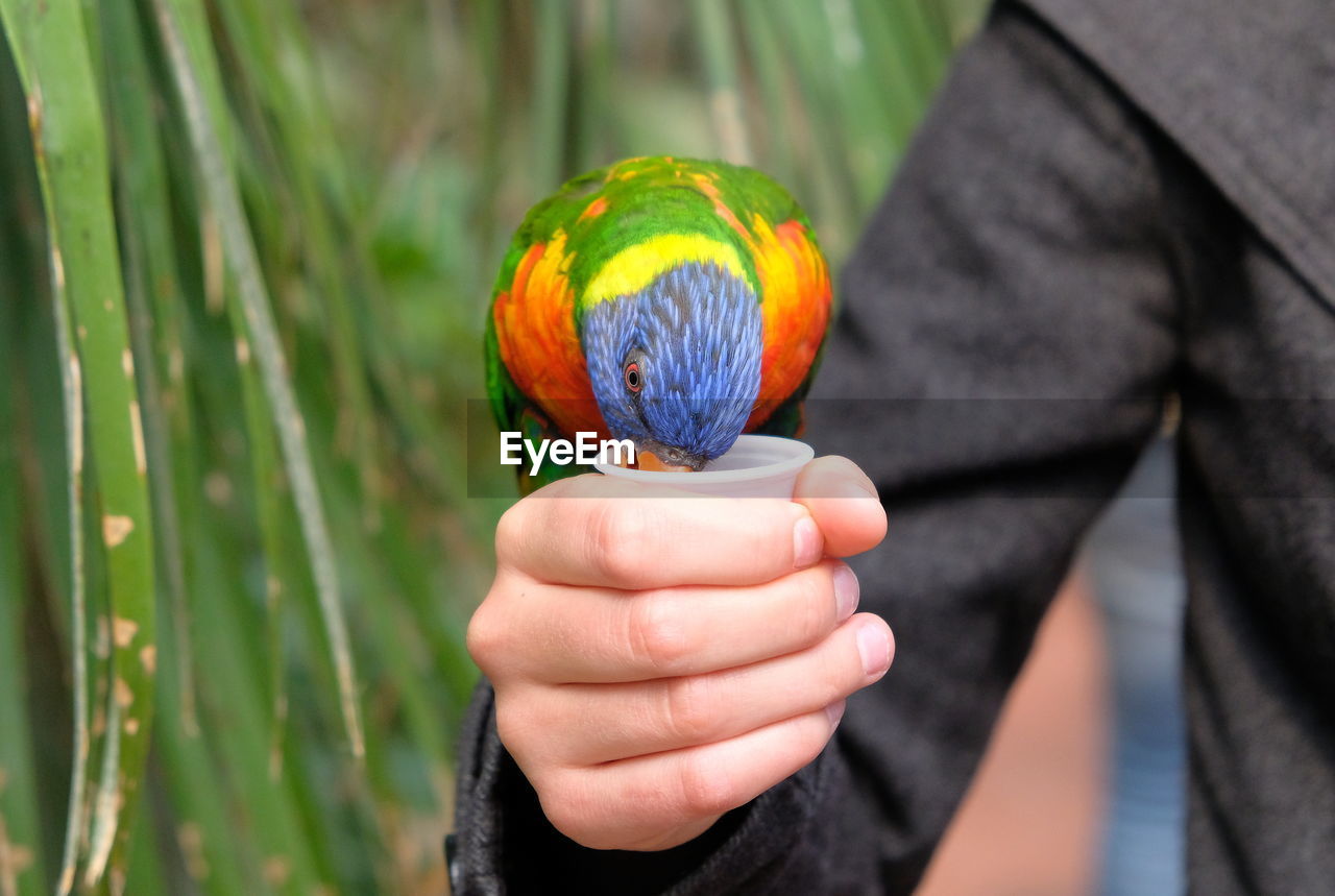 Close-up of person holding multi colored ball