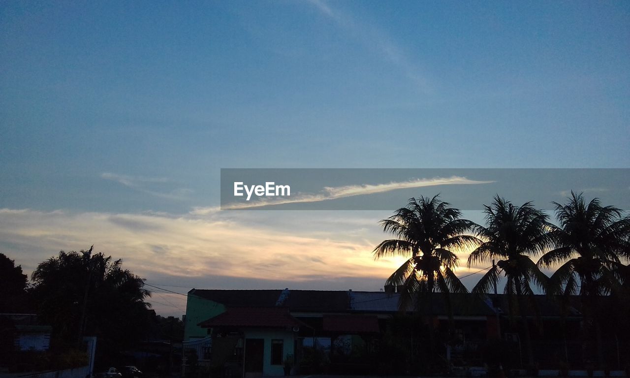 SILHOUETTE PALM TREES BY HOUSES AGAINST SKY