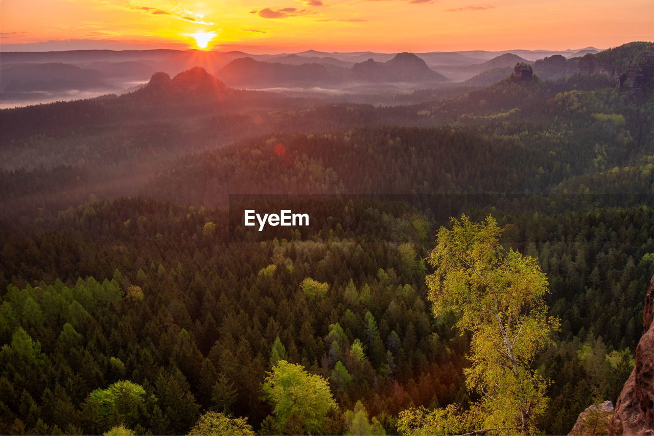 Autumn sunrise, saxon switzerland. fantastic colorful sunrise on the top of the rocky mountain 