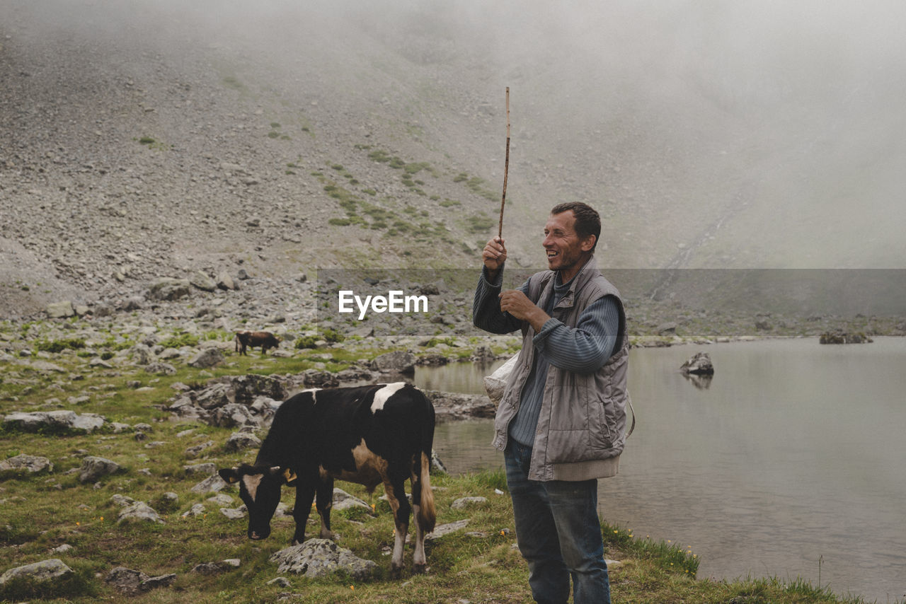 Man holding stick with cow grazing on land by lake against mountain