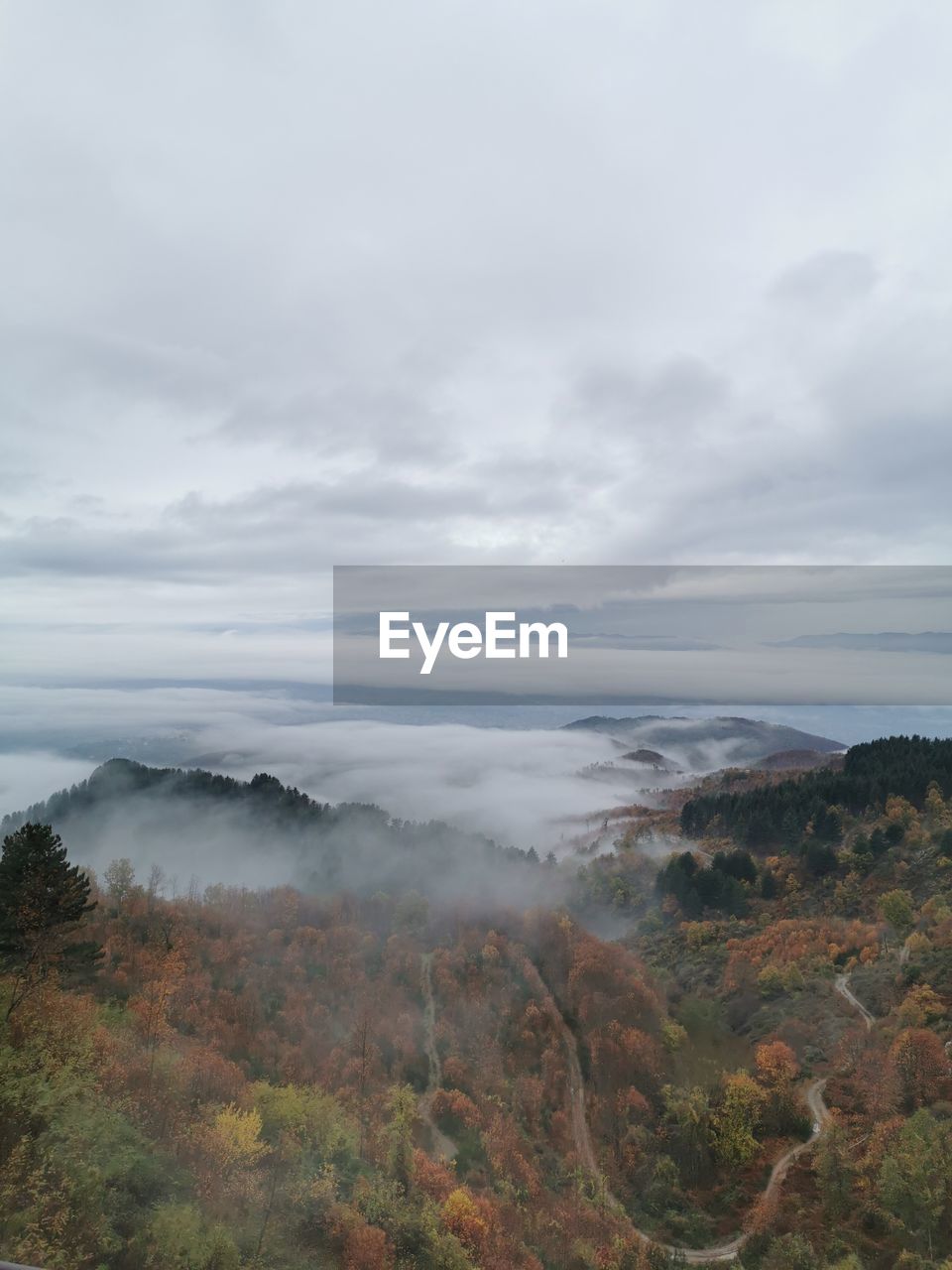 IDYLLIC SHOT OF LANDSCAPE AGAINST SKY