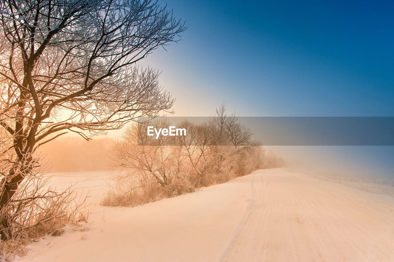 Bare trees on snow covered land against sky during sunset