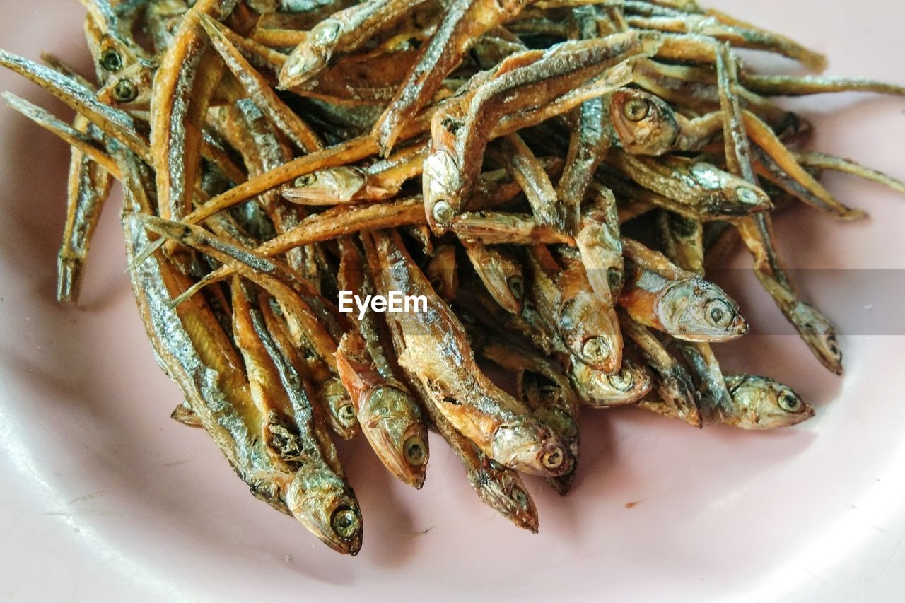 High angle view of fish in plate