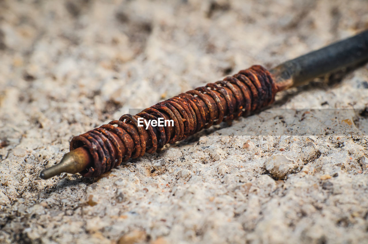 Inside the old pen with rust on the spring and placed on the cement floor.