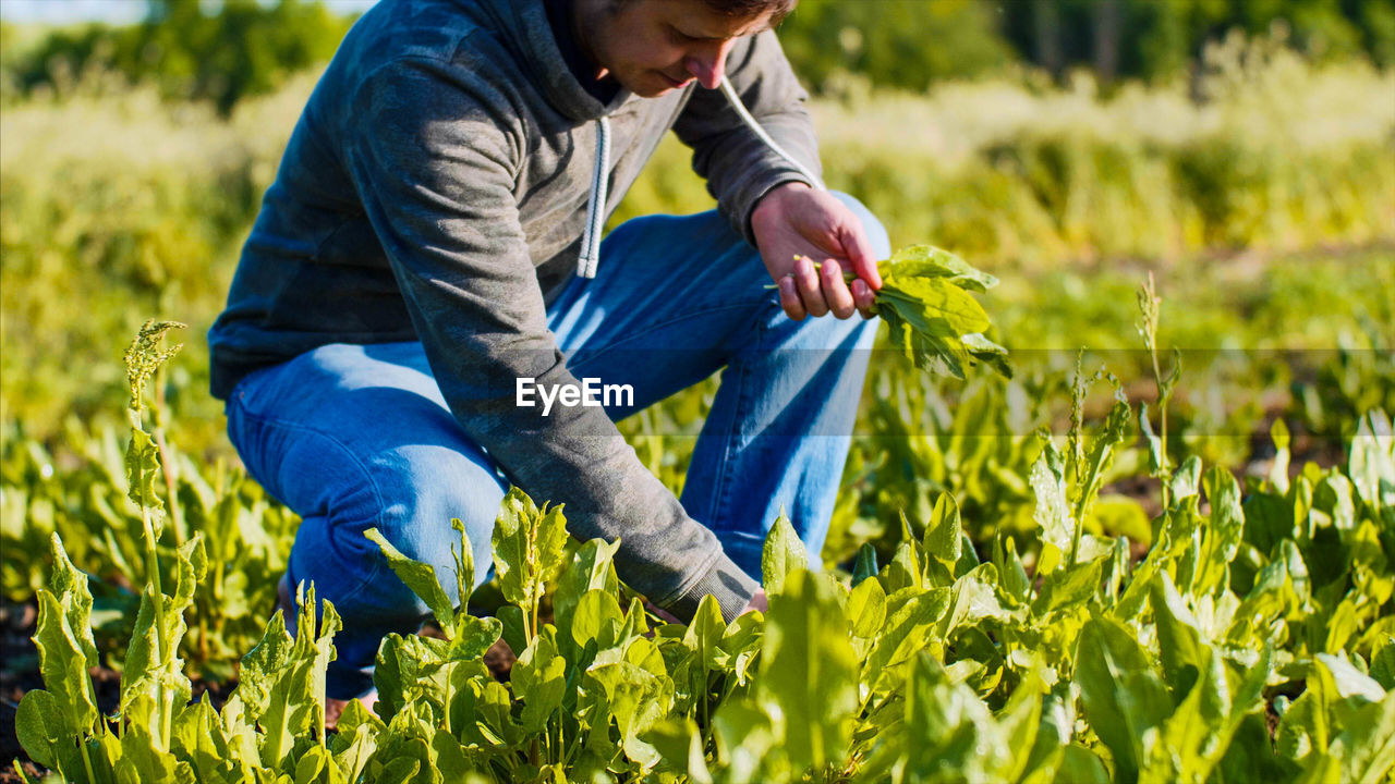 Farmer working at farm