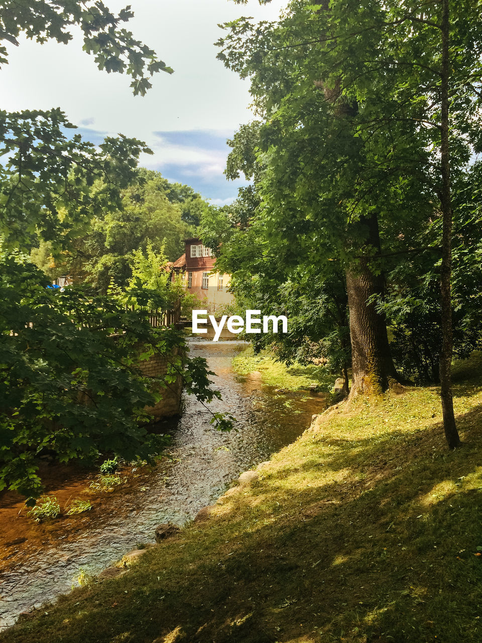 River flowing by trees