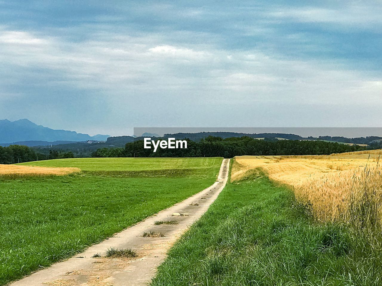 SCENIC VIEW OF AGRICULTURAL LANDSCAPE