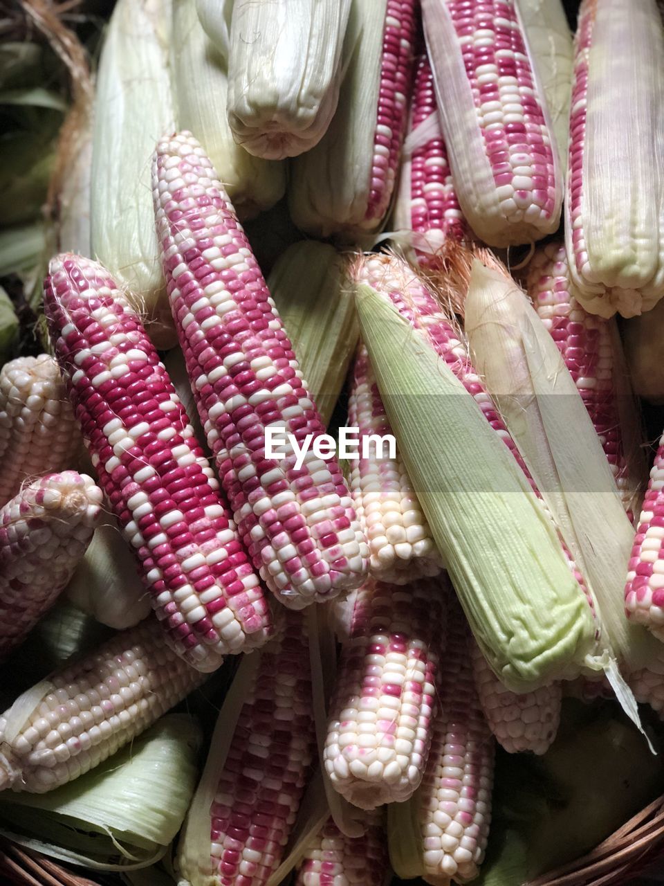 White and pink corn background image 
