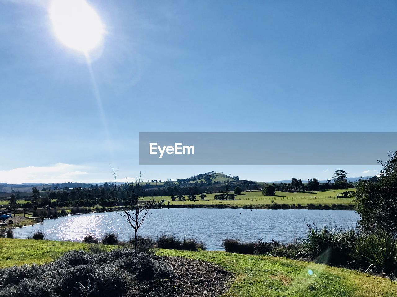 SCENIC VIEW OF LAKE AGAINST CLEAR SKY ON SUNNY DAY