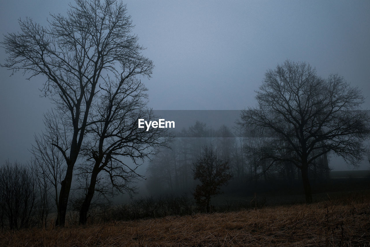 Bare trees on field against foggy sky