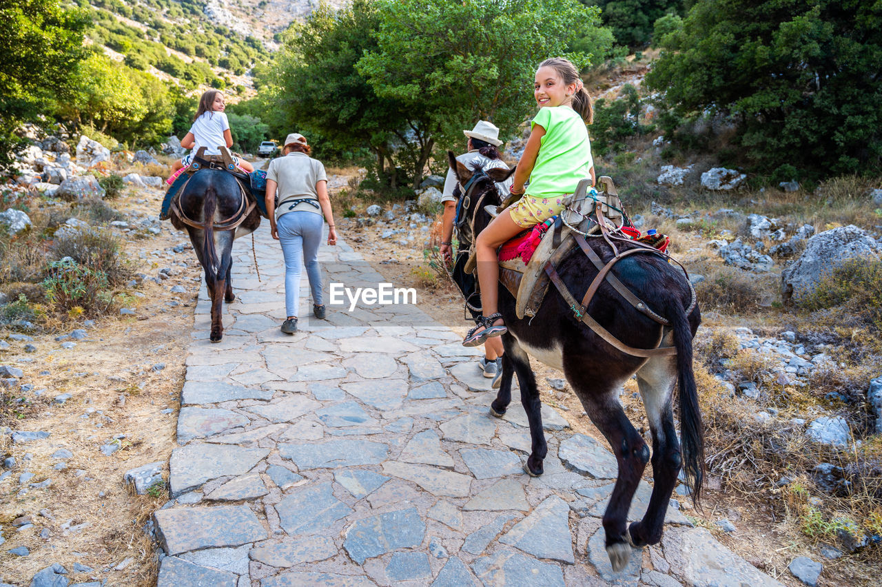 rear view of man riding horse on road