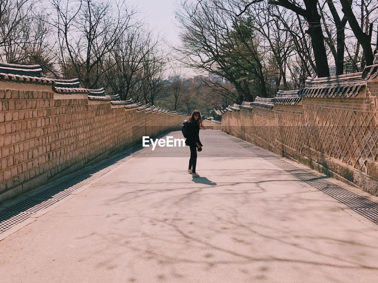 Full length of man walking on bare trees