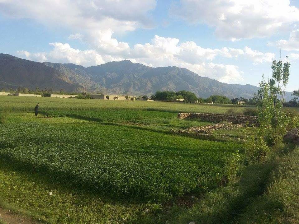 SCENIC VIEW OF FARM AGAINST SKY