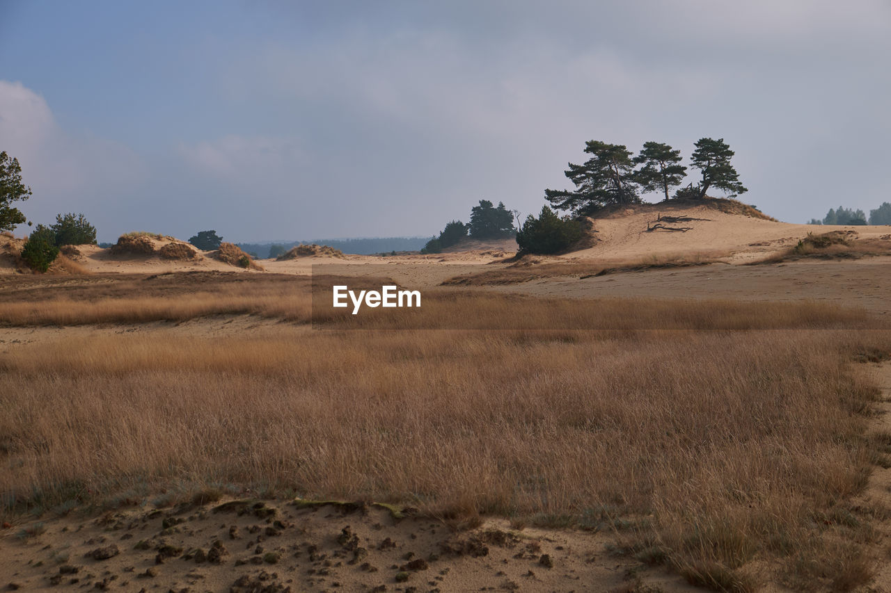 Hike through kootwjikerzand, netherlands