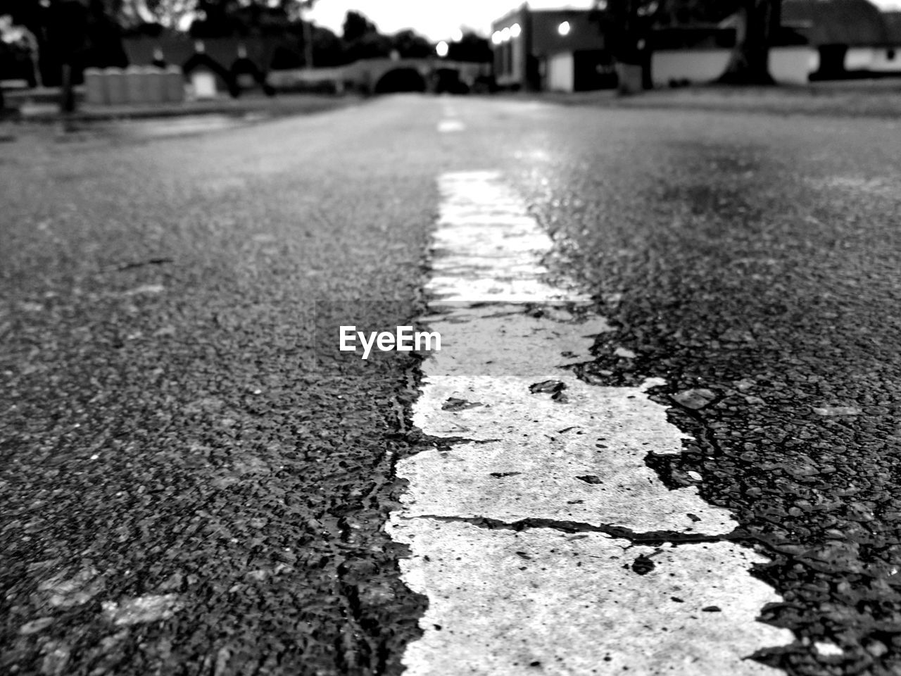 SURFACE LEVEL OF ROAD ALONG TREES