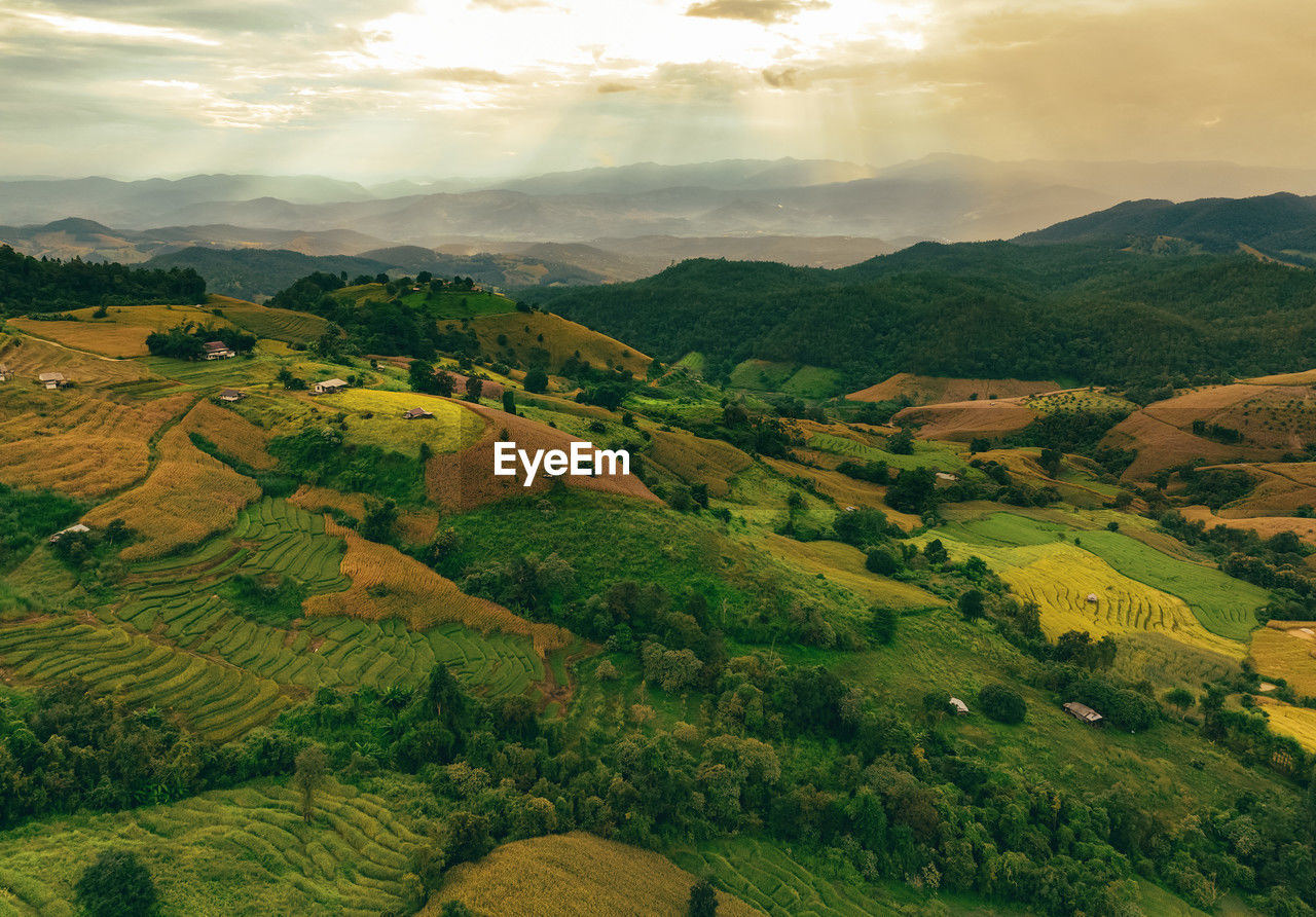 Landscape of green mountains with terraced rice paddies, and lush plantations. serene environment.