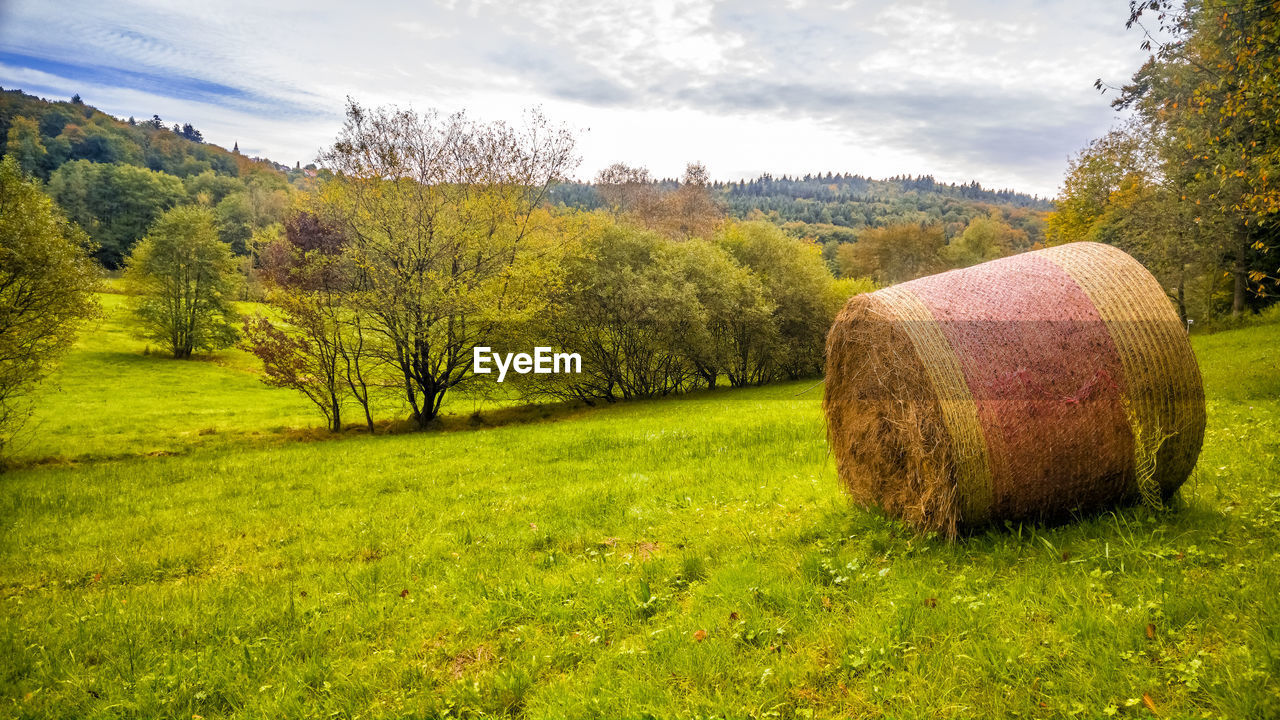 Hay bales on field against sky