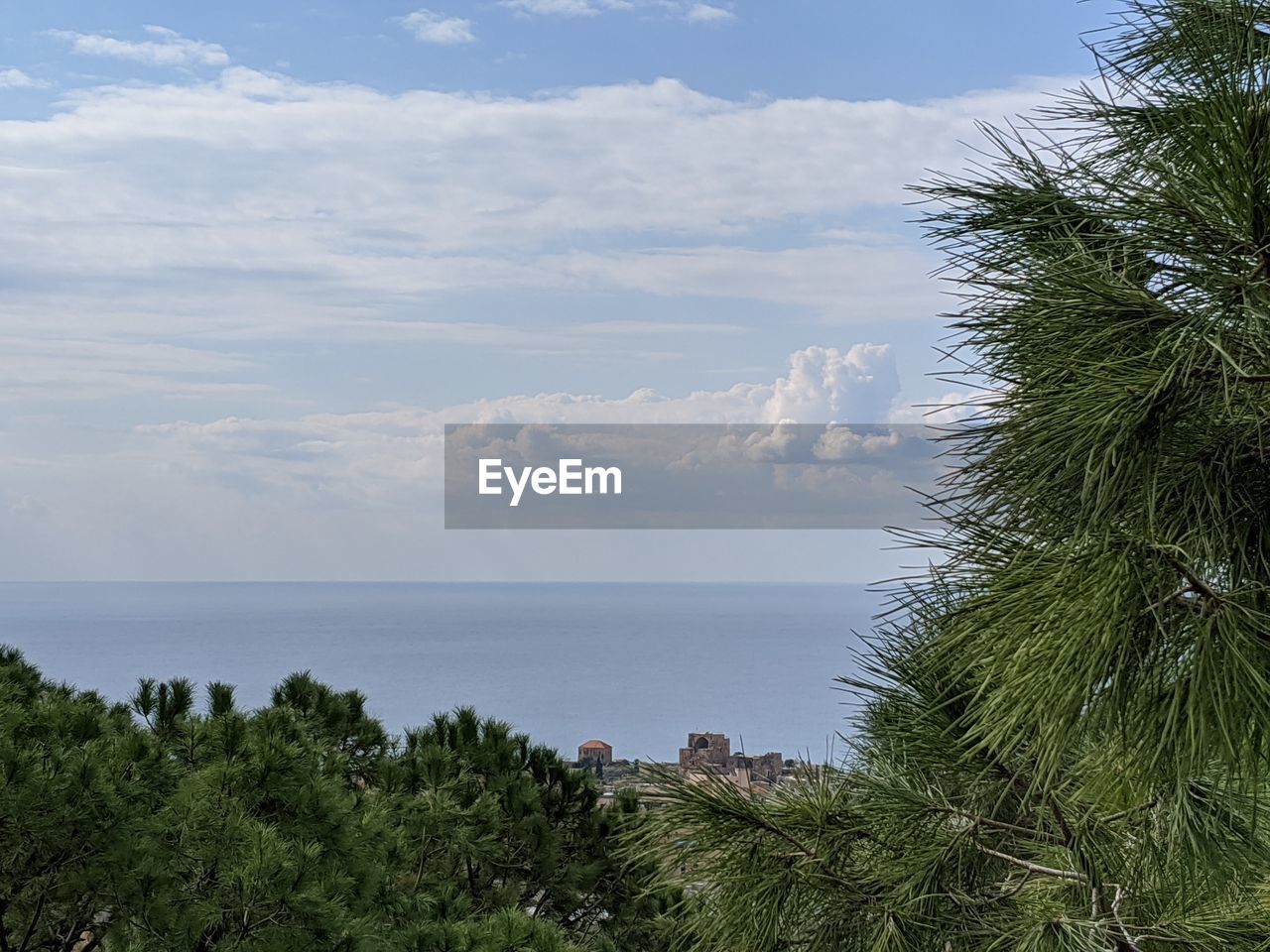SCENIC VIEW OF SEA AND TREES AGAINST SKY