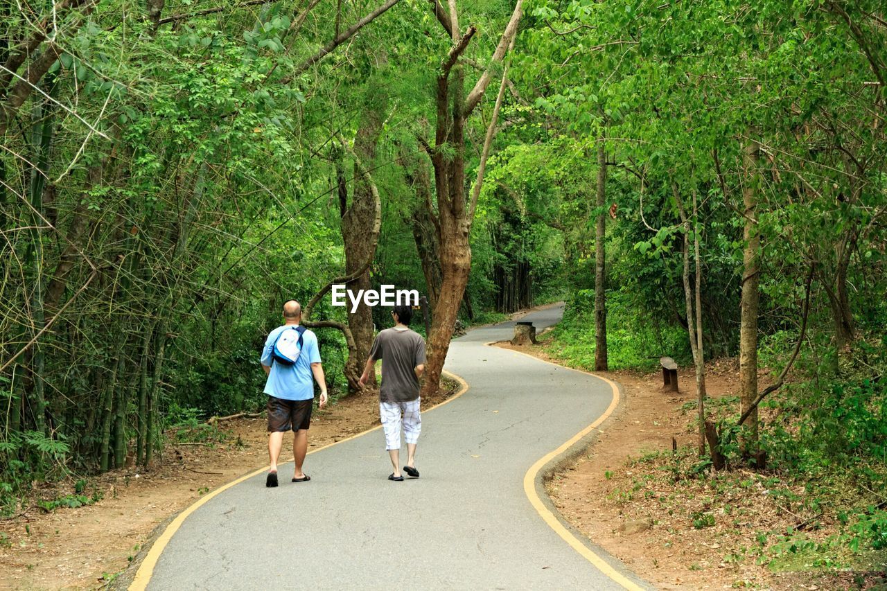 Rear view of men walking on footpath between trees