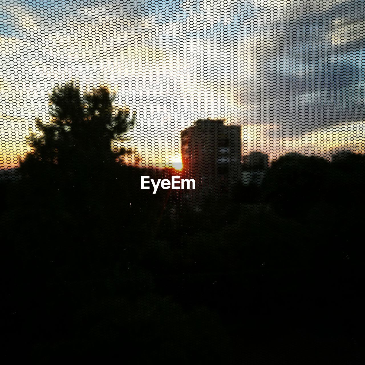 Low angle view of silhouette trees against sky during sunset