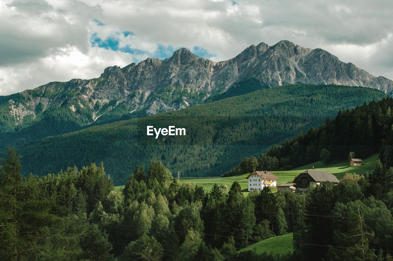 SCENIC VIEW OF TREES AND MOUNTAIN AGAINST SKY