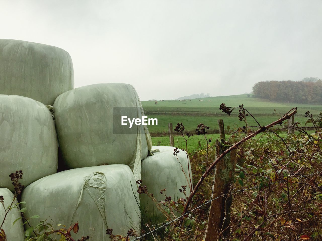 PANORAMIC VIEW OF LANDSCAPE AGAINST SKY