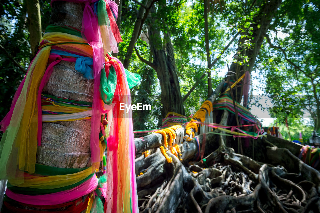 MULTI COLORED HAMMOCK