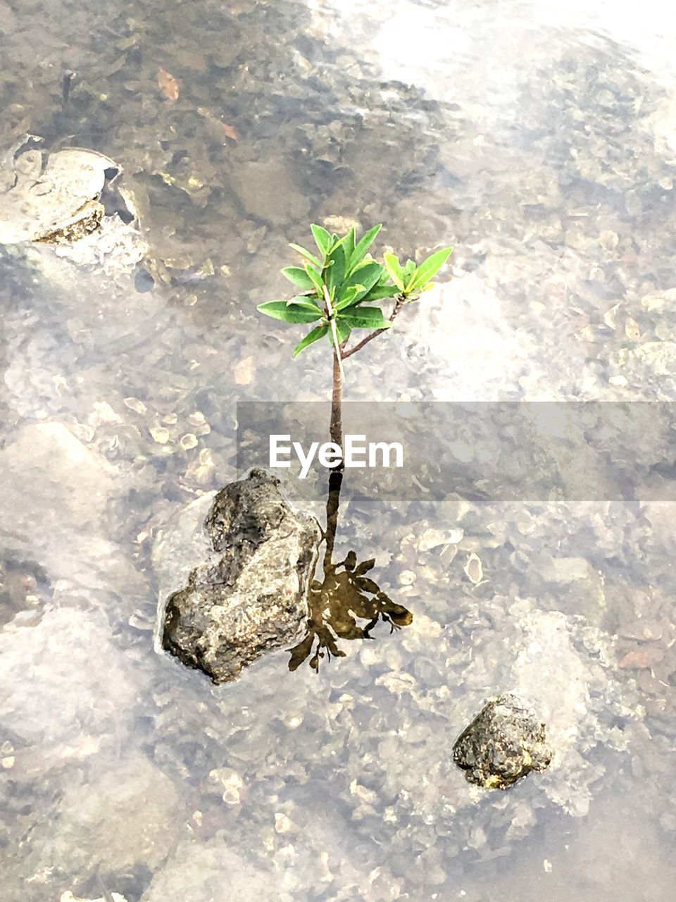 VIEW OF WATER IN WATER