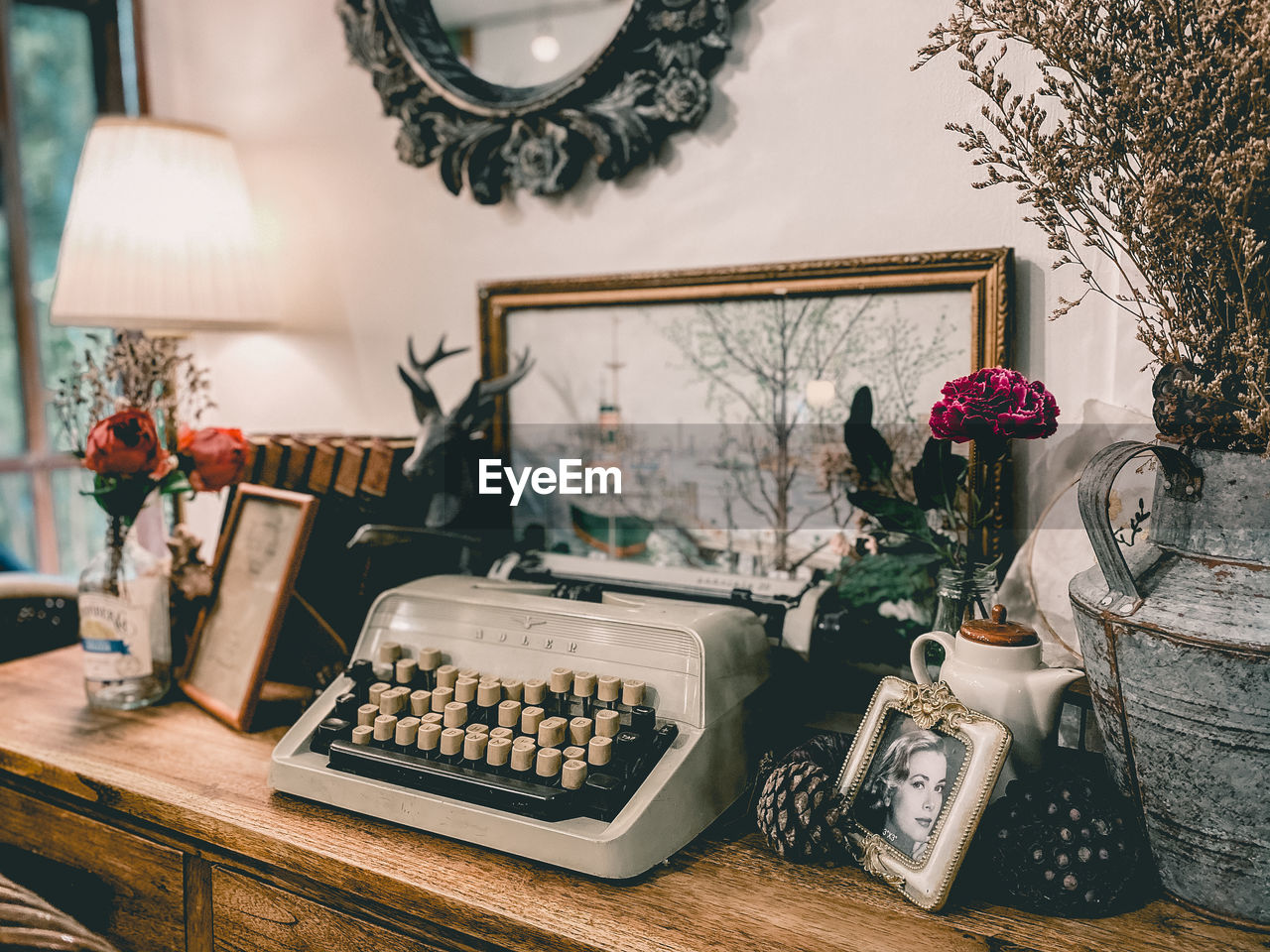 Potted plants on table with typewriter at home