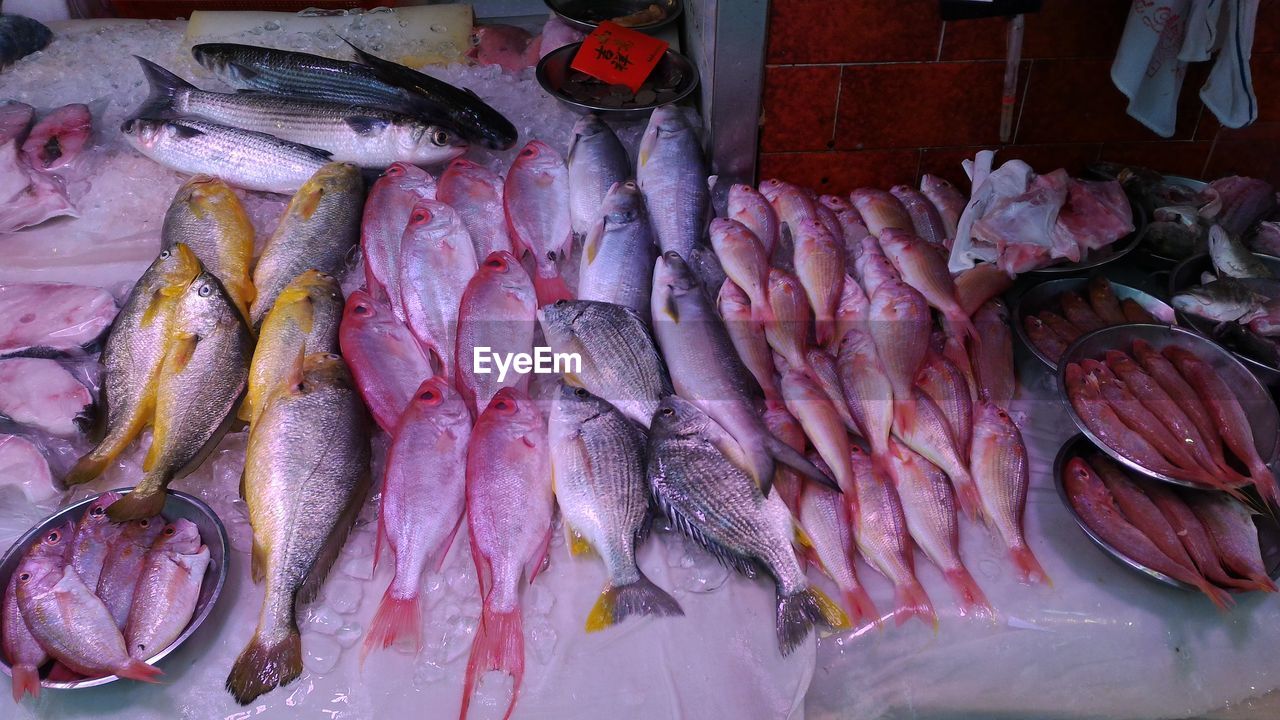 Close-up of fish for sale in market