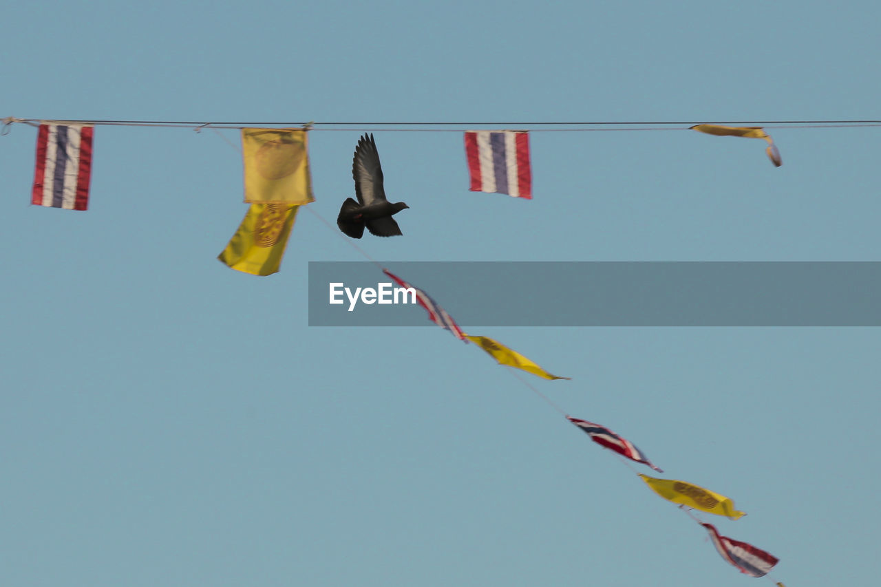 LOW ANGLE VIEW OF CLOTHES DRYING AGAINST SKY