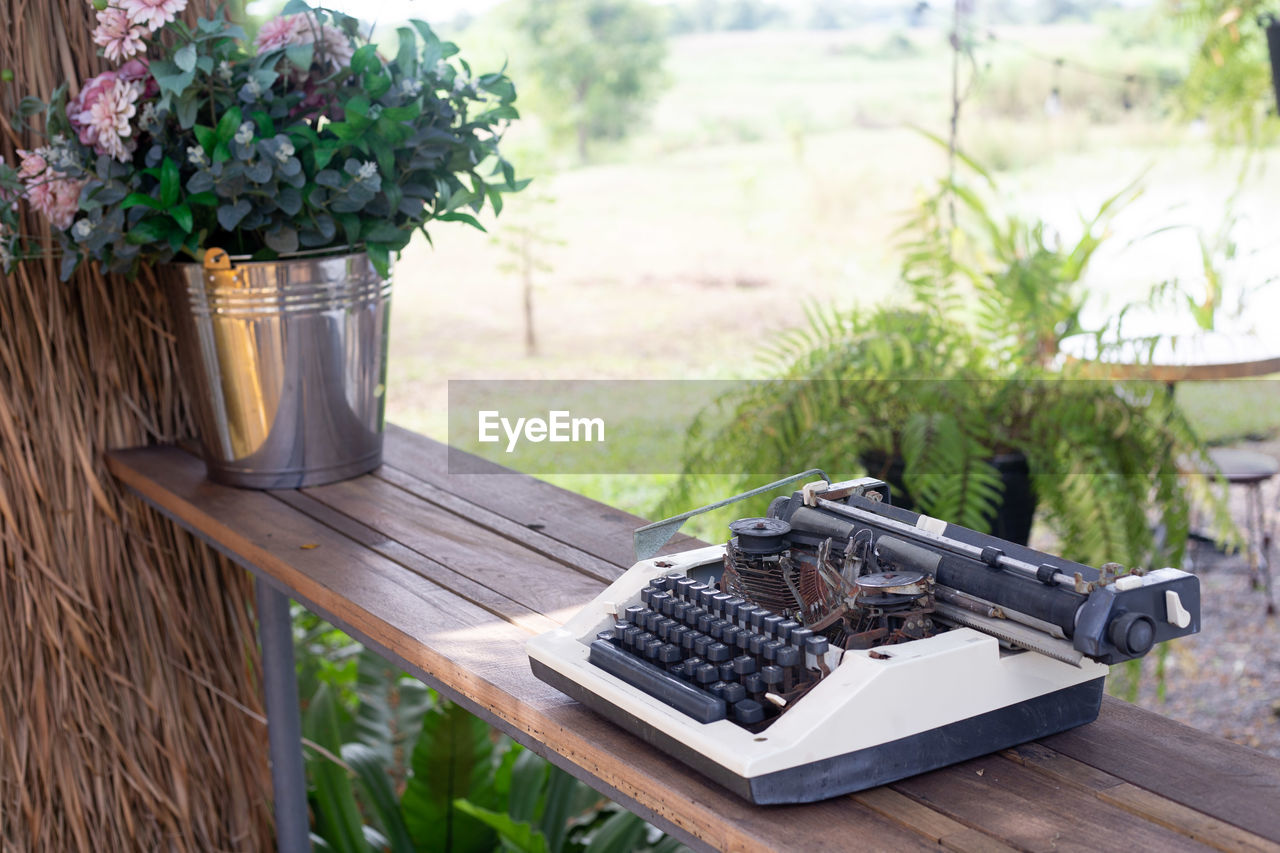 plant, nature, wood, table, day, no people, flower, outdoors, flowering plant, backyard, growth, potted plant, food and drink, freshness, summer, seat, beauty in nature, front or back yard, grass, technology, food