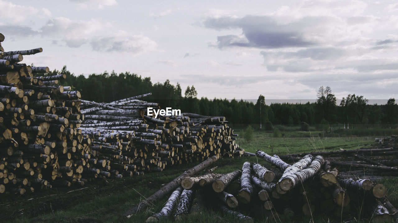 Stack of logs on field against sky