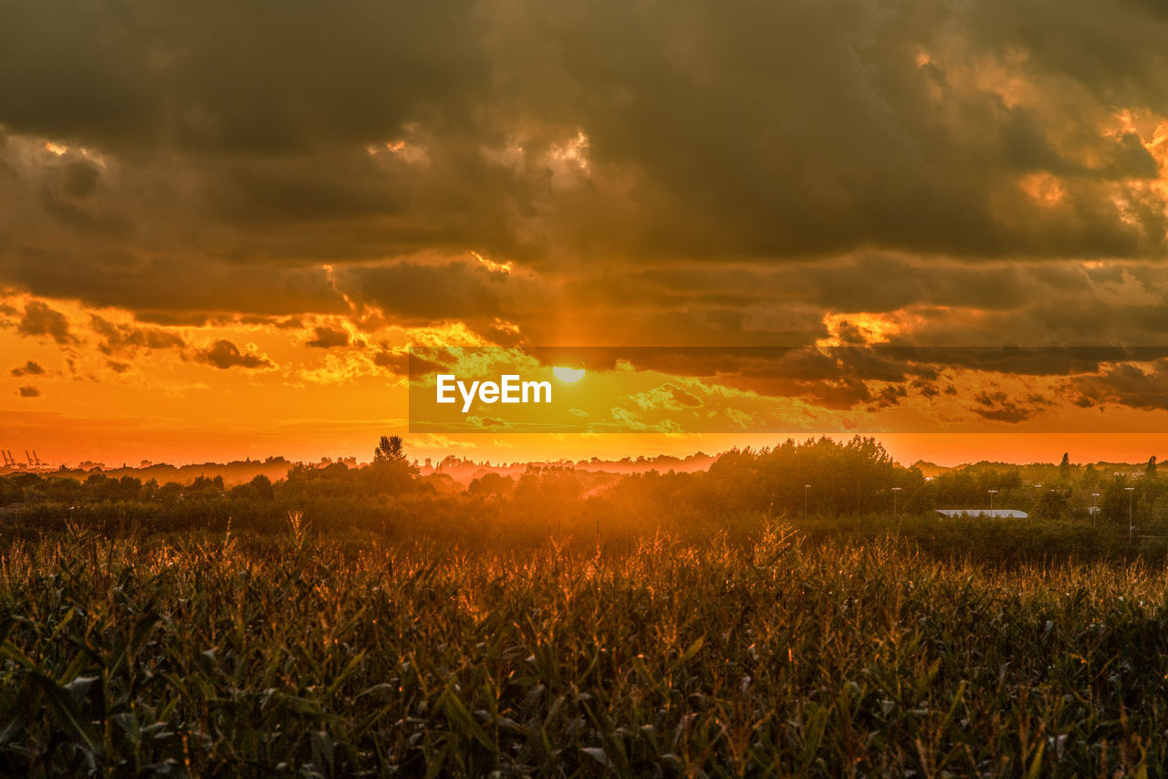 SCENIC VIEW OF FIELD AGAINST SKY AT SUNSET