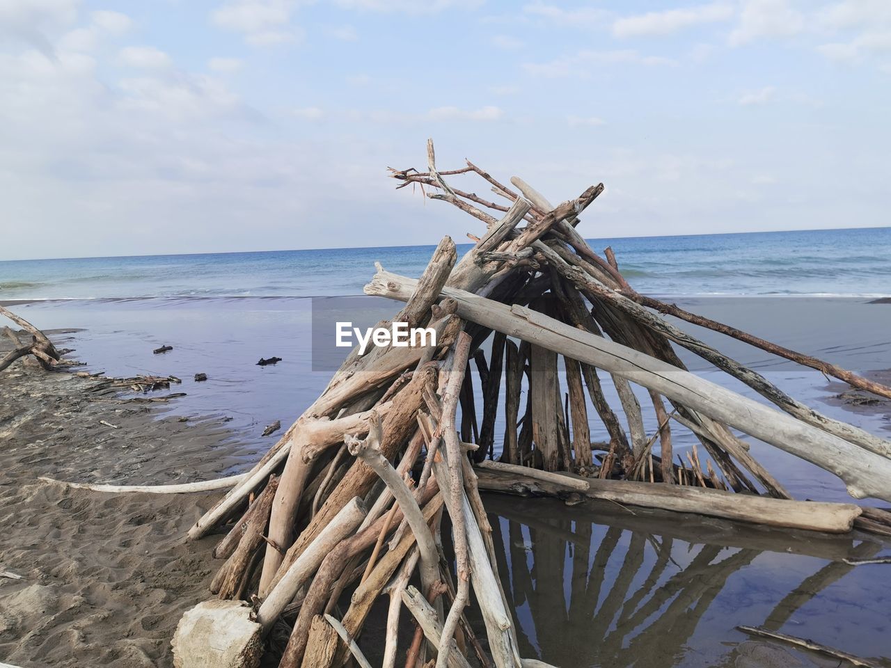 DRIFTWOOD ON BEACH